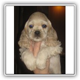 Boy #1. ANTALEKS J... 8 week.
