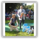 'XX-SHOW'. Antaleks Fifth Element (11 months) - J.ClubWiner, BIS-3. Judge: Leurent Pichard. Owner: Ludmila Shamargina.