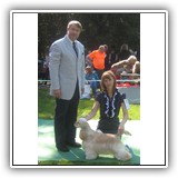 'XX-SHOW'. Antaleks Fifth Element (11 months) - J.ClubWiner, BIS-3. Judge: Leurent Pichard. Owner: Ludmila Shamargina.