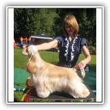 'XX-SHOW'. Antaleks Fifth Element (11 months) - J.ClubWiner, BIS-3. Owner: Ludmila Shamargina.