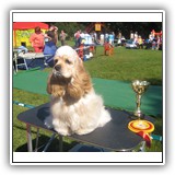 'XX-SHOW'. Antaleks Fifth Element (11 months) - J.ClubWiner, BIS-3.