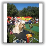 'XX-SHOW'. Antaleks Fifth Element (11 months) - J.ClubWiner, BIS-3.