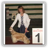 JCH RUS, J.ClubWiner Antaleks Fifth Element (1 years 8 months)