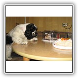 Bella, 4 months/></a>

<a class=