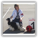 J.RUS CH Star Inlay Celebrity Antaleks (1years 1 monts)