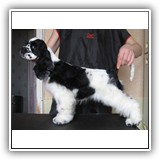 Bella, 4 months