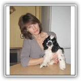 Star Inlay Celebrity Antaleks (Bella), 3 monts