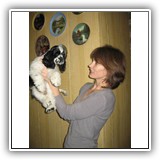 Star Inlay Celebrity Antaleks (Bella), 3 monts