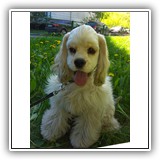 Joy (6.5 months)