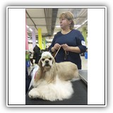 Joy (15 months) 13.04.2019. MKOO PROFESSIONAL, BIG-1. MKOO NOVAJA KLASSIKA, BIG-1. Handler: Olga Karpuk