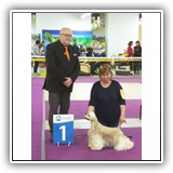 Joy (15 months) 13.04.2019. MKOO NOVAJA KLASSIKA, BOB. Judge: Foss, Arne (Norway). Handler: Olga Karpuk