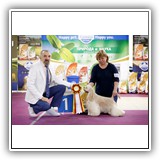 Joy (15 months) 13.04.2019. MKOO PROFESSIONAL, BIG-1. Judge: Nikolay Kashirin (Russia). Handler: Olga Karpuk