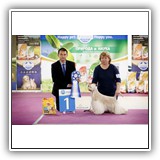 Joy (15 months) 13.04.2019. MKOO NOVAJA KLASSIKA, BIG-1. Judge: Serafimov, Jane (Makedonia). Handler: Olga Karpuk