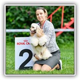 Stella (9,5 months) 22.08.2020.  ߻, CW, J.CAC, BOB, BIG-2, Ch.RFSS. Judge: N.Kryukova.