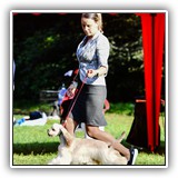Stella (9,5 months) 22.08.2020.  ߻, CW, J.CAC, BOB, BIG-2, Ch.RFSS. Judge: N.Kryukova.