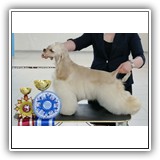 Stella (9,5 months) 23.08.2020. 2 * BIG-2