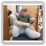 Antaleks Star Was Born ()(1 y., 4 m.) & Breeder T.V.Lebedeva. 11.03.2021. 
