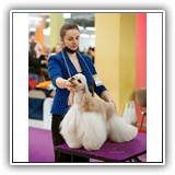 f17_029_21-03-13_0799