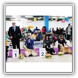 f17_34_21-03-13_140340