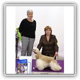 Antaleks Star Was Born '', 2021.03.27, ' ', CW, , , BOB .,Judge: M.Vladimirskaja, Handler: O.Karpuk.