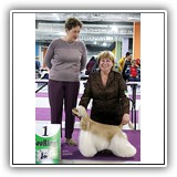 Antaleks Star Was Born '', 2021.03.27, '-, Speciality 8 ', CW, , , , .,Judge:  A.Filatova, Handler: O.Karpuk.